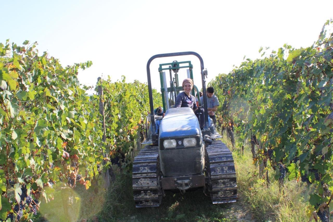 Agriturismo La Mussia Castelnuovo  Eksteriør bilde
