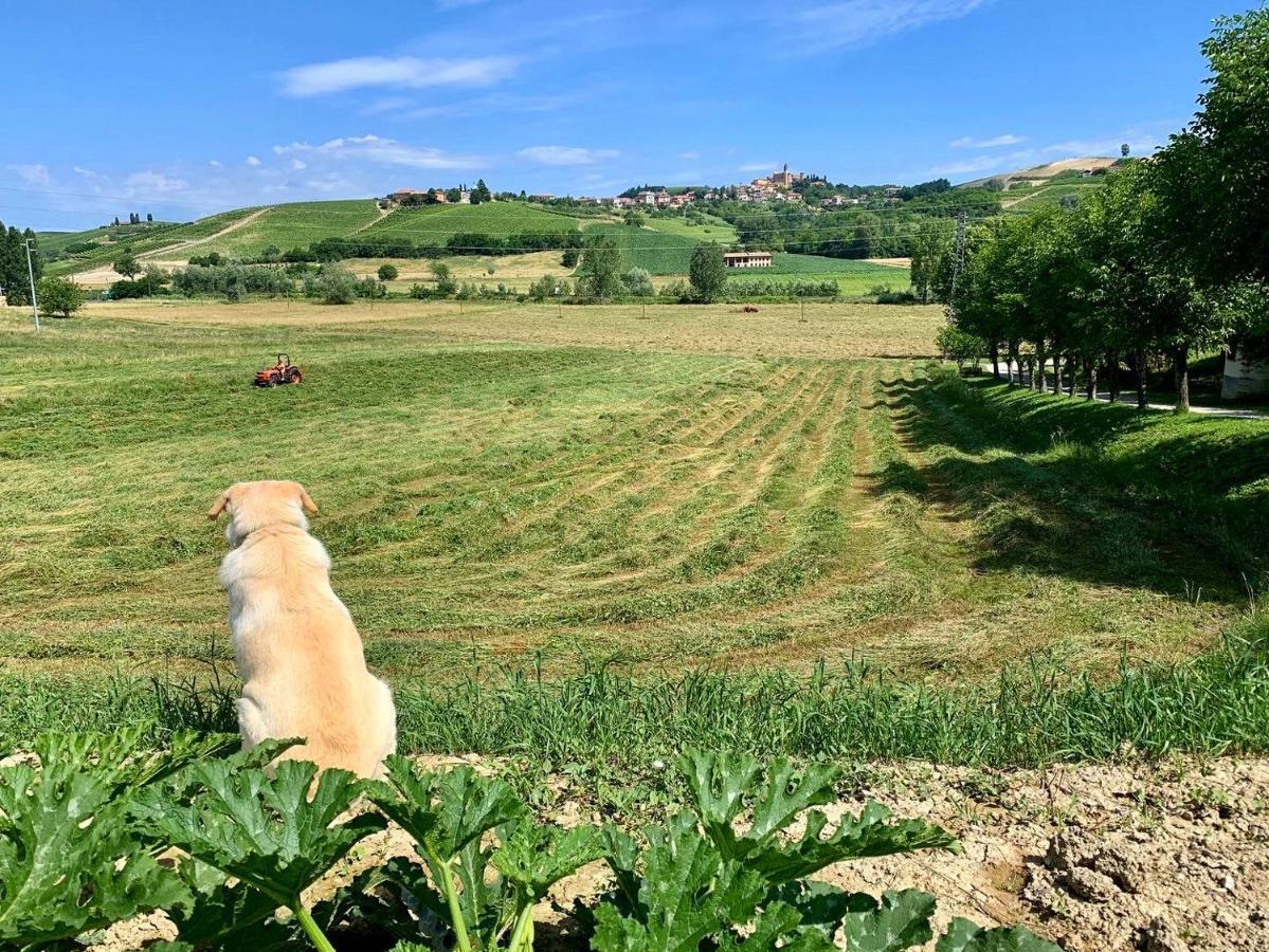 Agriturismo La Mussia Castelnuovo  Eksteriør bilde