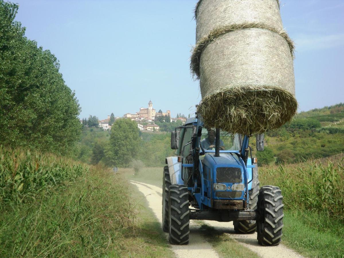 Agriturismo La Mussia Castelnuovo  Eksteriør bilde
