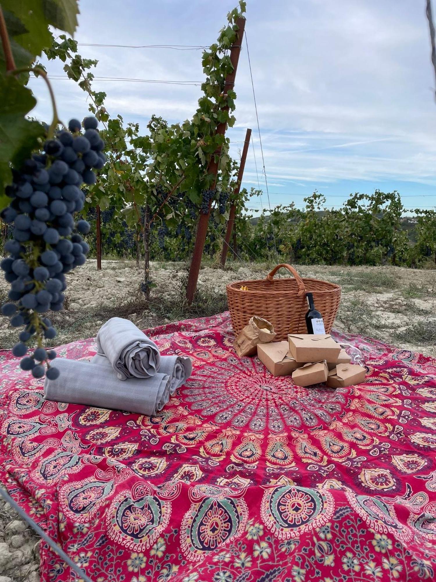 Agriturismo La Mussia Castelnuovo  Eksteriør bilde