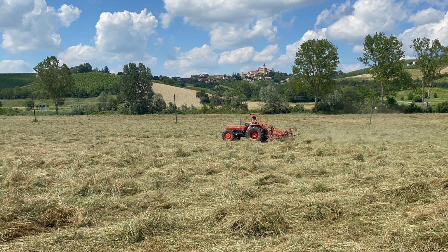 Agriturismo La Mussia Castelnuovo  Eksteriør bilde